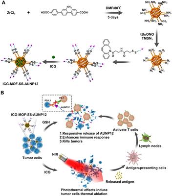 The GSH responsive indocyanine green loaded PD-1 inhibitory polypeptide AUNP12 modified MOF nanoparticles for photothermal and immunotherapy of melanoma